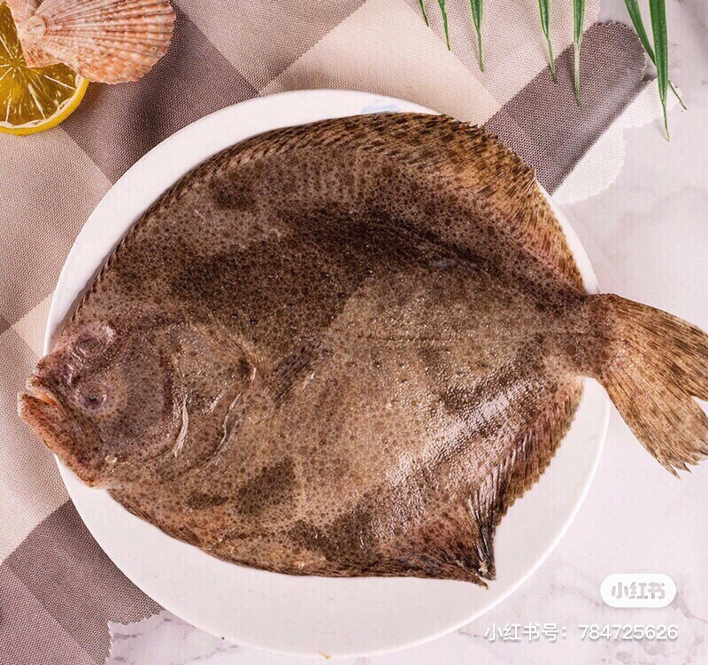 紅燒 香煎 油炸 食材簡介:多寶魚,又稱歐洲比目魚,是鮃科,菱鮃屬魚類