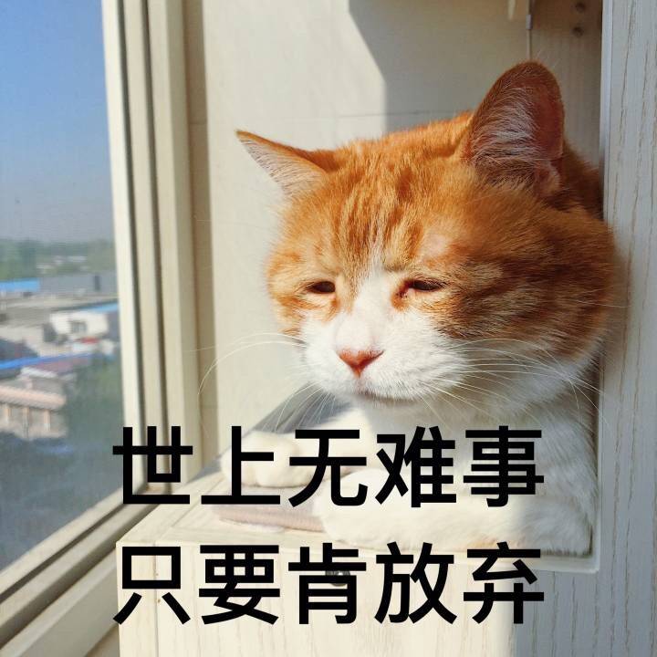 天津天狮学院校友们都在干嘛呢在唐山来个校友会吧