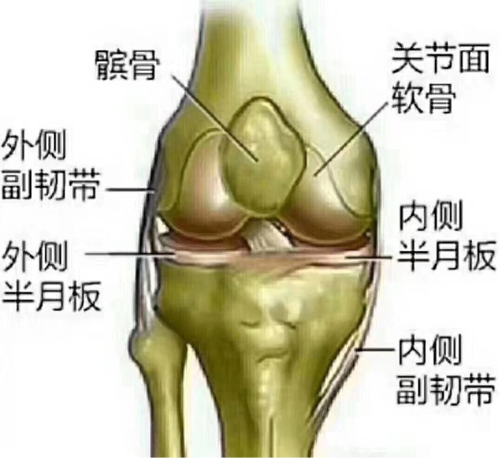 滑膜炎的症狀: 1,輕度滑膜炎:以關節疼痛為主,關節