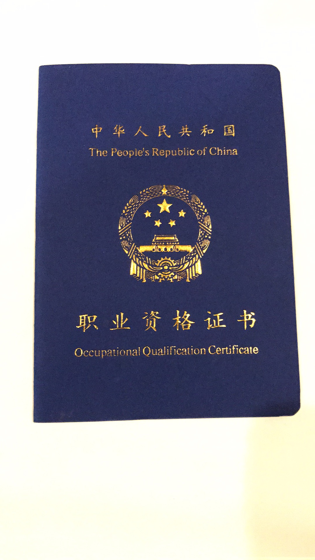 管道修理工(初级证书),叉车司机(初级),还有驾驶证b照(货运资格证)