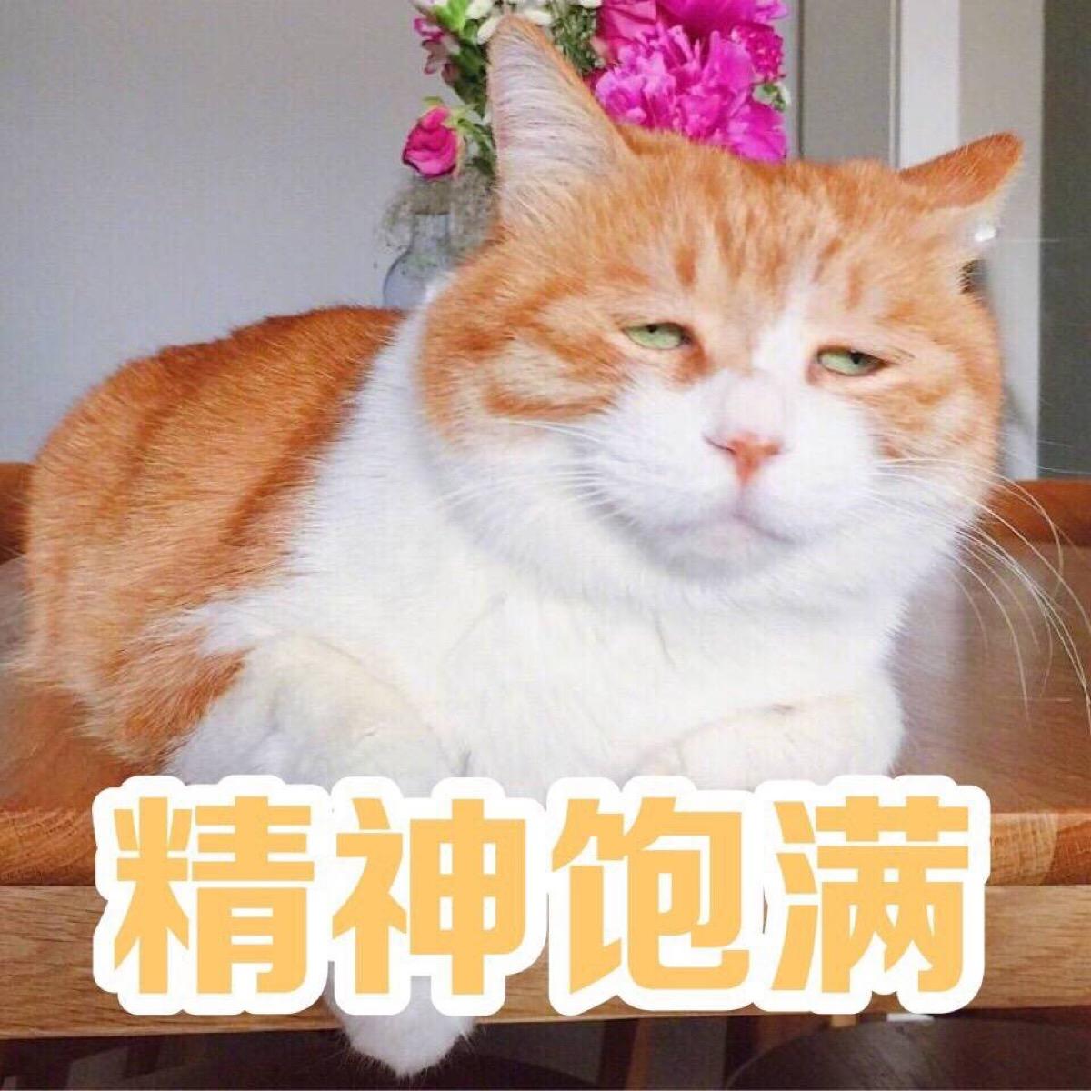  em>要饭 /em>:行行好,行行好吧~ 工作:行,行,好,行,行,好吧!